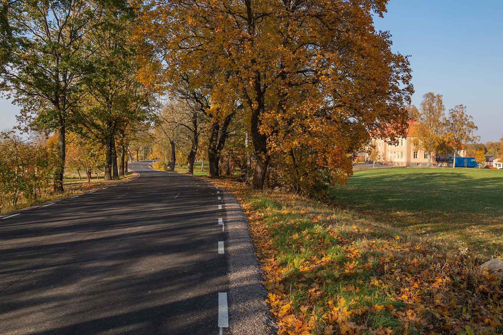 Vägen fortsätter längs en allé. Långt bort syns ett stort gult/orange stenhus.